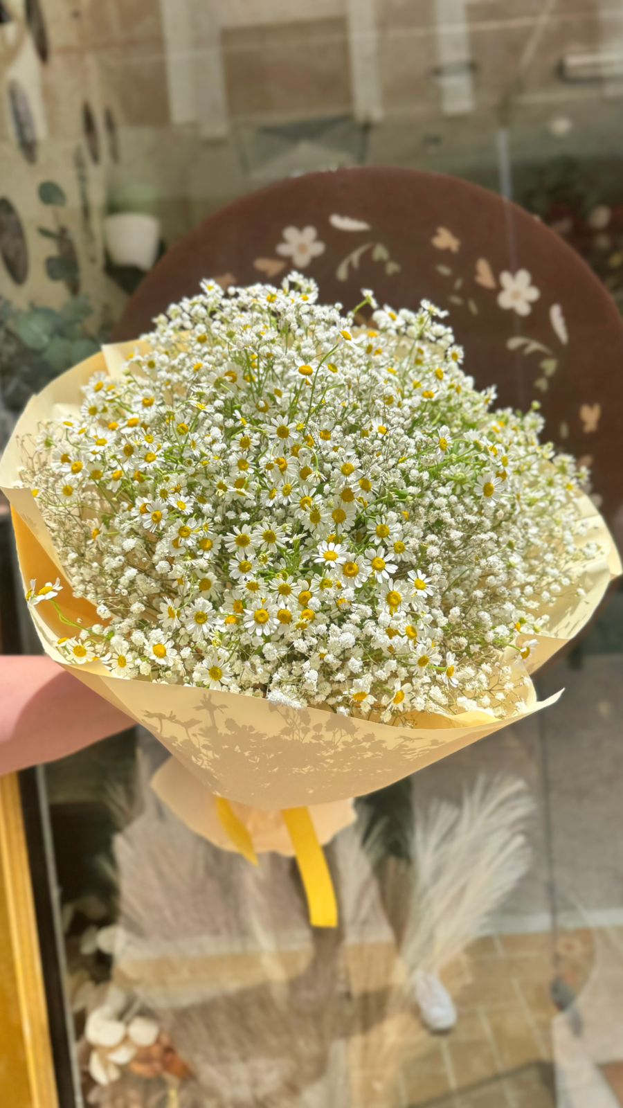 Summer daisies/زهور الصيف