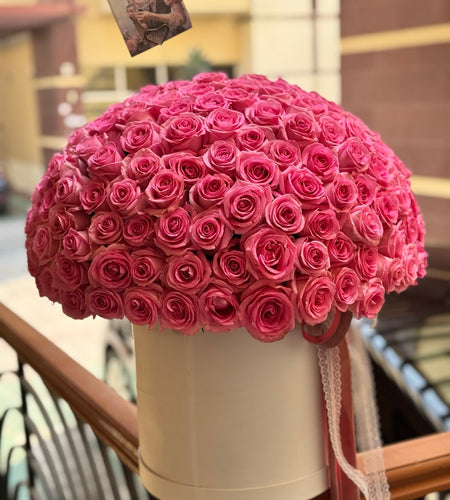 251 Pink roses / 251 وردة وردية