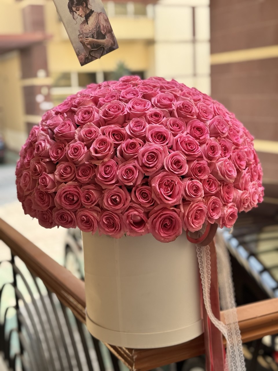 251 Pink roses / 251 وردة وردية