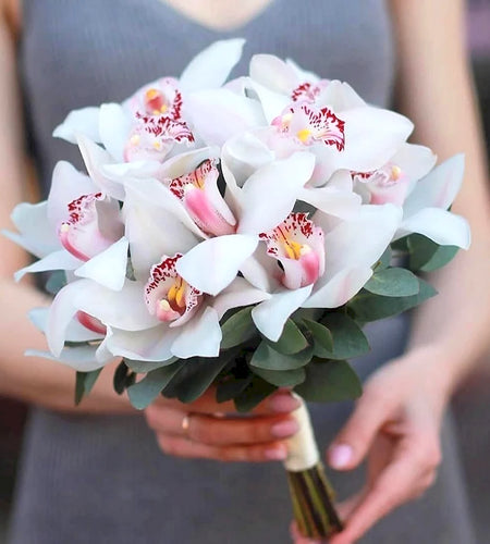 Orchid for the bride/أوركيد للعروس