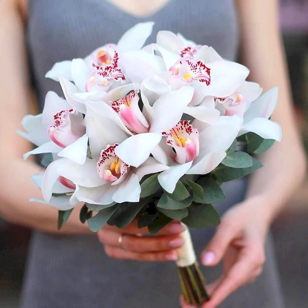 Orchid for the bride/أوركيد للعروس