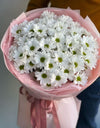 Chamomile/Chrysanthemums / البابونج/الأقحوان