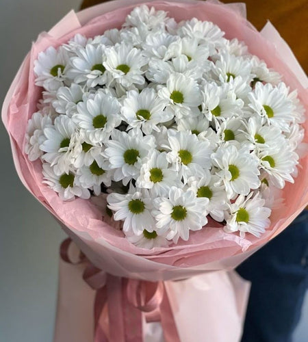 Chamomile/Chrysanthemums / البابونج/الأقحوان