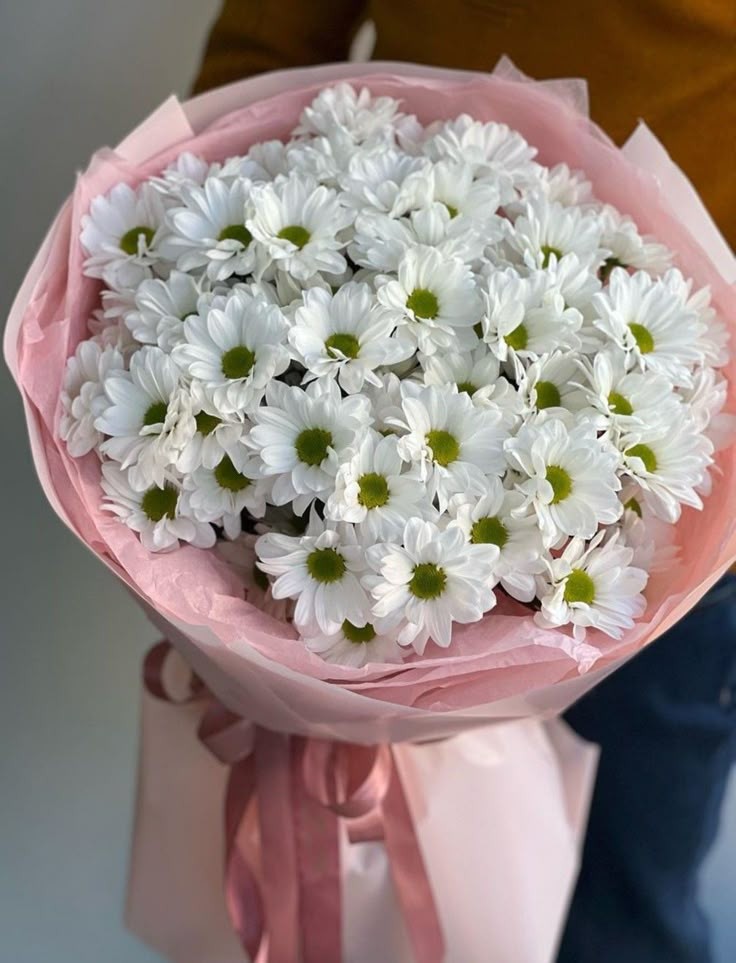 Chamomile/Chrysanthemums / البابونج/الأقحوان