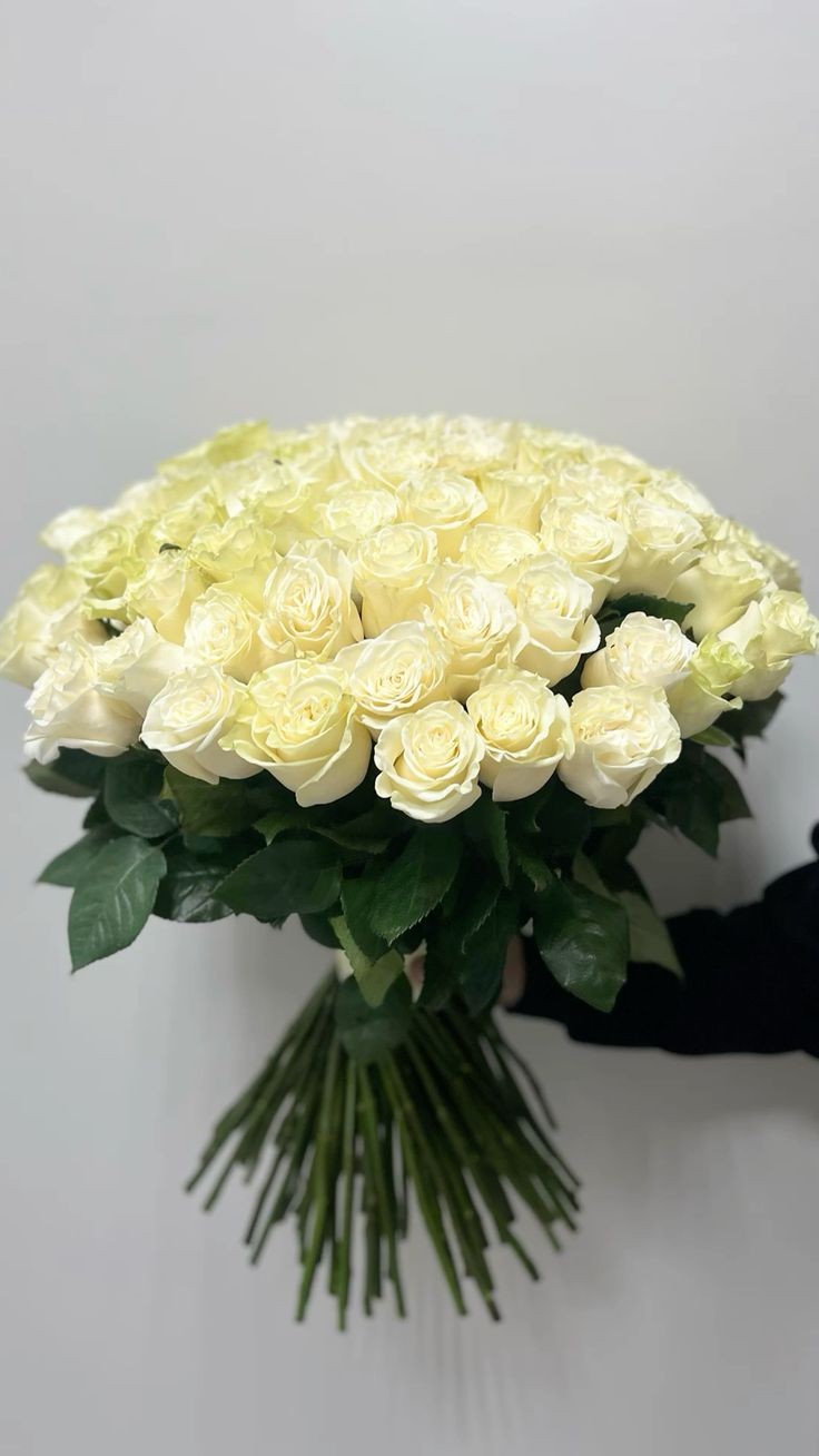 101 Roses (60sm)any color