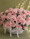 French rose / الوردة الفرنسية
