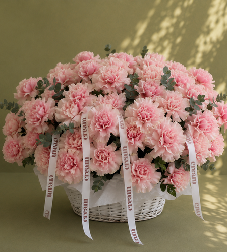 French rose / الوردة الفرنسية