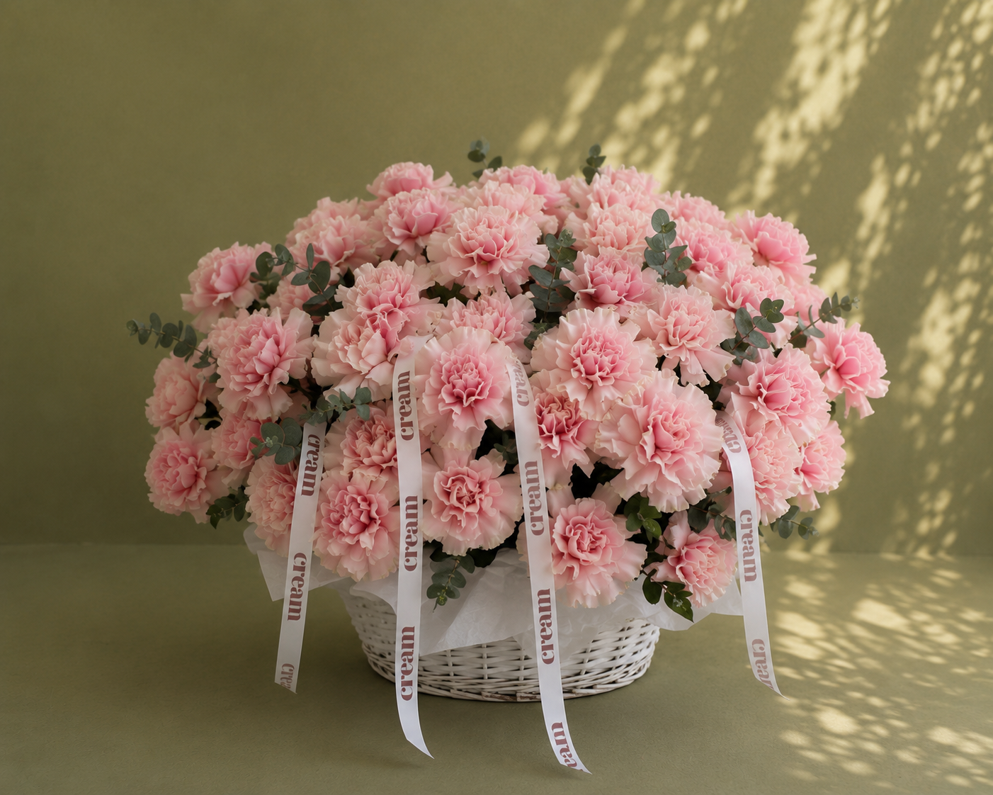 French rose / الوردة الفرنسية