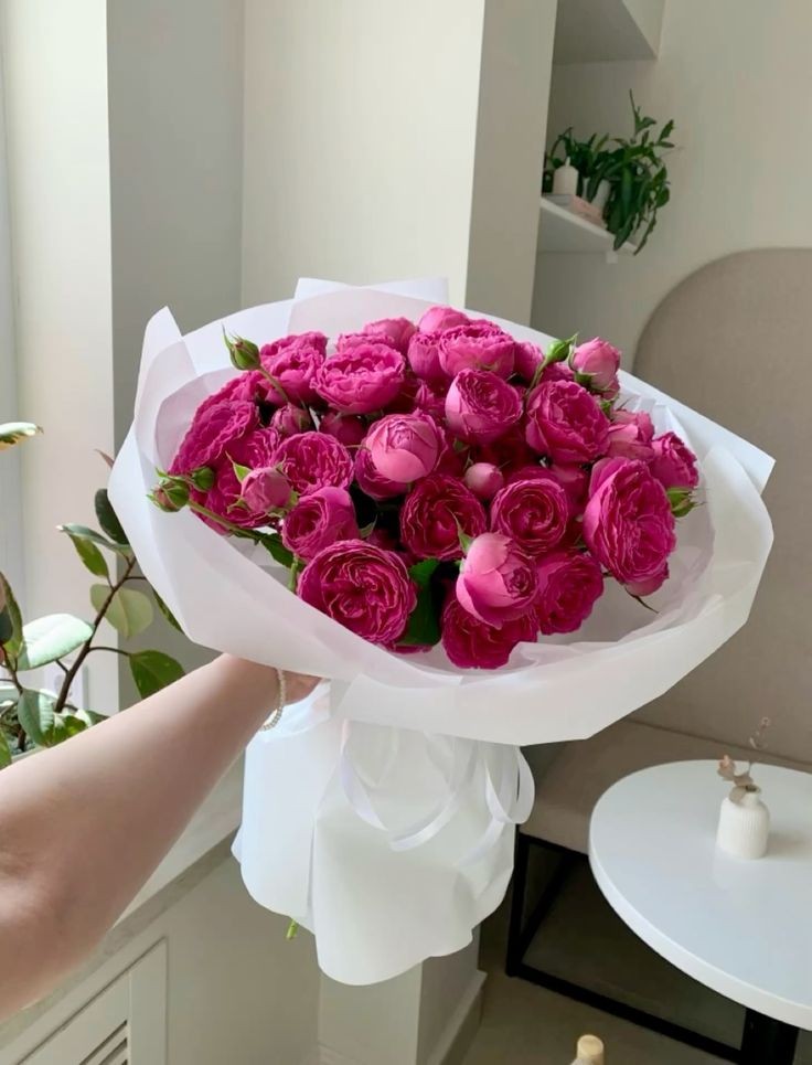 Piones bebe roses (5pis)