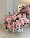 French rose / الوردة الفرنسية
