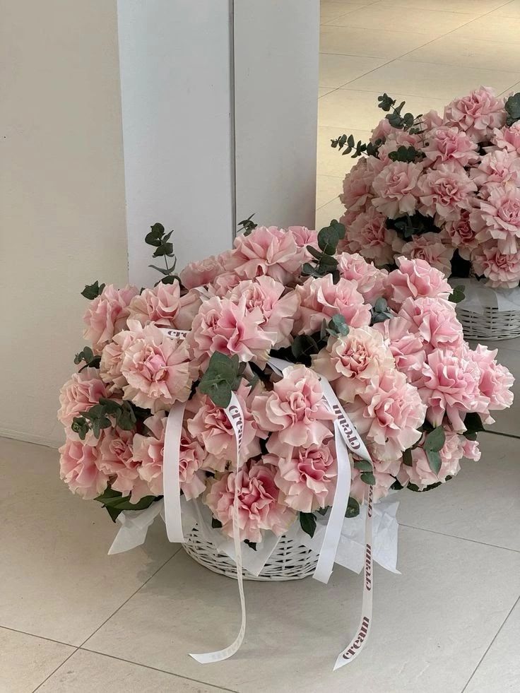 French rose / الوردة الفرنسية