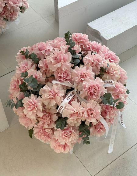 French rose / الوردة الفرنسية